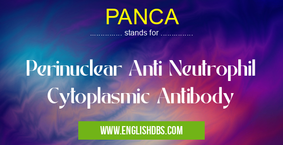 PANCA means Perinuclear Anti Neutrophil Cytoplasmic Antibody PANCA