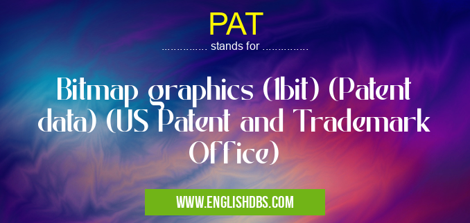 PAT means Bitmap graphics (1bit) (Patent data) (US Patent and Trademark Office) PAT