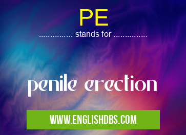 PE means penile erection PE