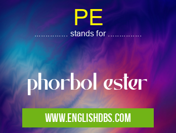PE means phorbol ester PE