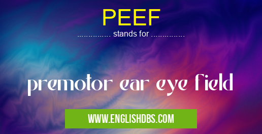 PEEF means premotor ear eye field PEEF