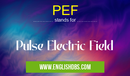 PEF means Pulse Electric Field PEF