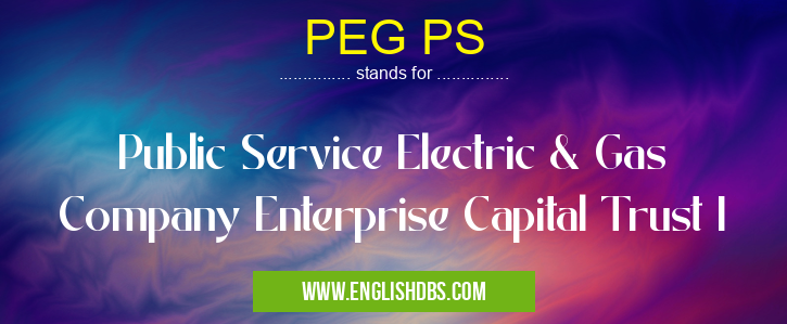 PEG PS means Public Service Electric & Gas Company Enterprise Capital Trust I PEG PS