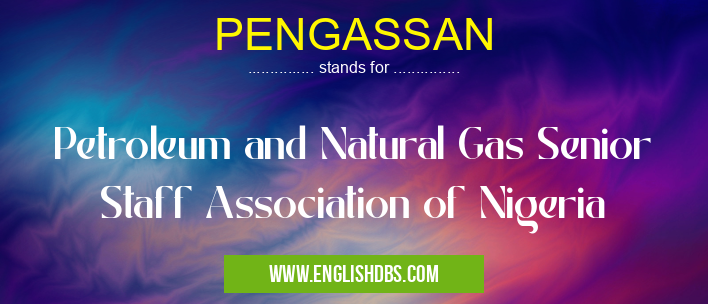 PENGASSAN means Petroleum and Natural Gas Senior Staff Association of Nigeria PENGASSAN