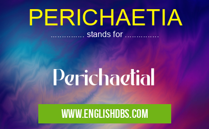PERICHAETIA means Perichaetial PERICHAETIA