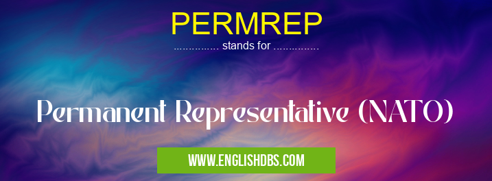 PERMREP means Permanent Representative (NATO) PERMREP
