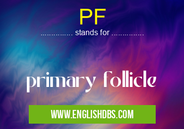 PF means primary follicle PF