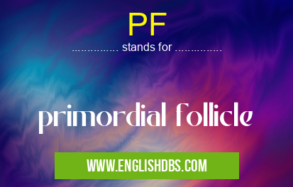 PF means primordial follicle PF