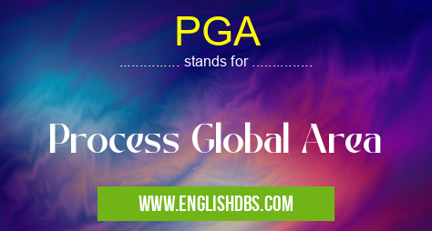 PGA means Process Global Area PGA