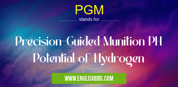 PGM means Precision-Guided Munition PH Potential of Hydrogen PGM