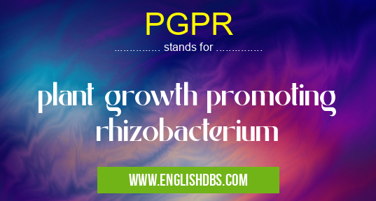 PGPR means plant growth promoting rhizobacterium PGPR