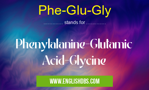 Phe-Glu-Gly means Phenylalanine-Glutamic Acid-Glycine Phe-Glu-Gly