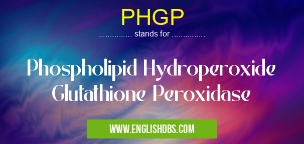 PHGP means Phospholipid Hydroperoxide Glutathione Peroxidase PHGP