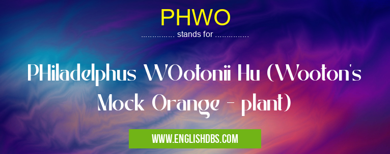 PHWO means PHiladelphus WOotonii Hu (Wooton's Mock Orange - plant) PHWO