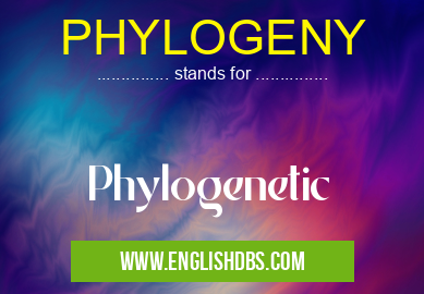 PHYLOGENY means Phylogenetic PHYLOGENY