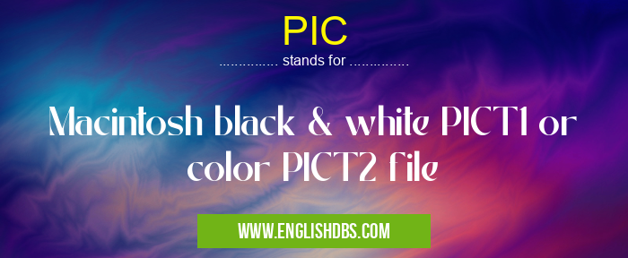 PIC means Macintosh black & white PICT1 or color PICT2 file PIC
