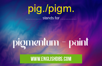 pig./pigm. means pigmentum - paint pig./pigm.