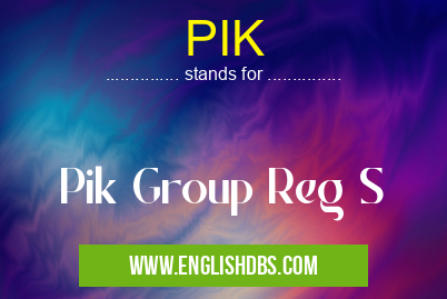 PIK means Pik Group Reg S PIK