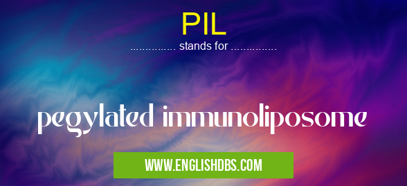 PIL means pegylated immunoliposome PIL
