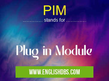 PIM means Plug in Module PIM