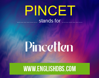 PINCET means Pincetten PINCET