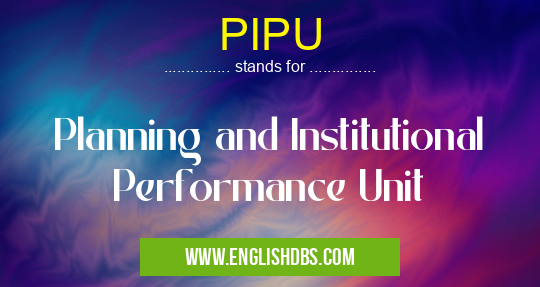PIPU means Planning and Institutional Performance Unit PIPU