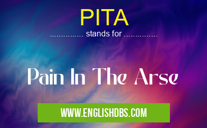 PITA means Pain In The Arse PITA