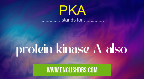PKA means protein kinase A also PKA