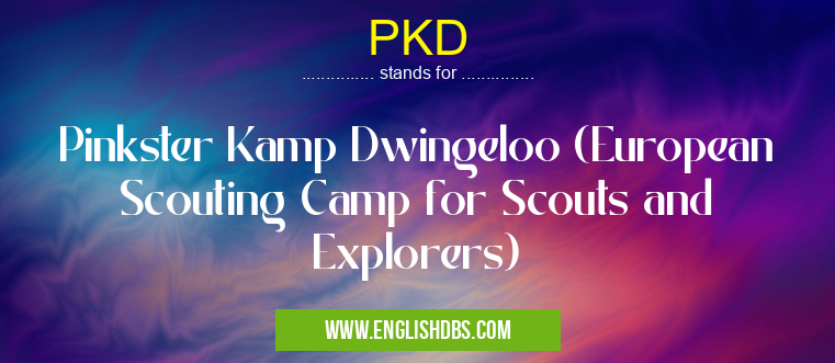 PKD means Pinkster Kamp Dwingeloo (European Scouting Camp for Scouts and Explorers) PKD