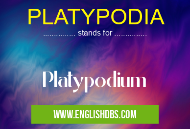 PLATYPODIA means Platypodium PLATYPODIA