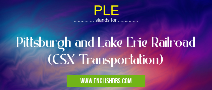 PLE means Pittsburgh and Lake Erie Railroad (CSX Transportation) PLE