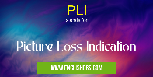 PLI means Picture Loss Indication PLI