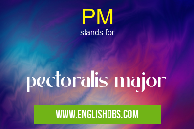 PM means pectoralis major PM