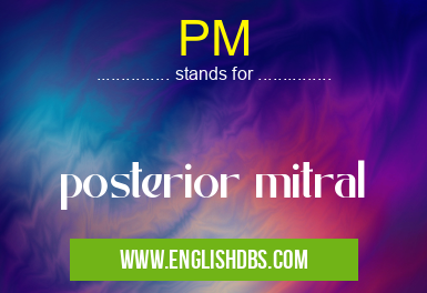PM means posterior mitral PM