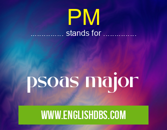 PM means psoas major PM