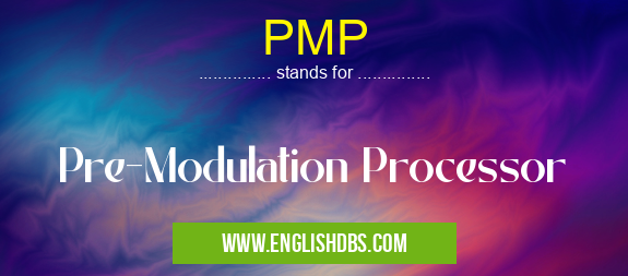 PMP means Pre-Modulation Processor PMP