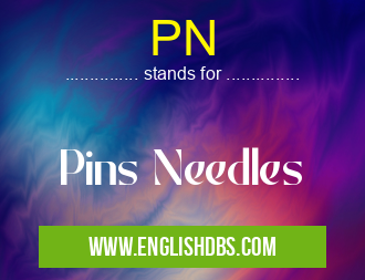 PN means Pins Needles PN