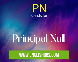 PN means Principal Null PN