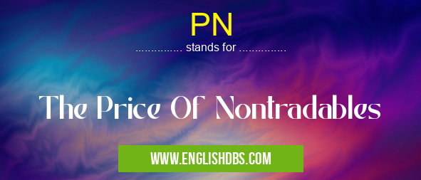 PN means The Price Of Nontradables PN
