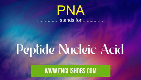PNA means Peptide Nucleic Acid PNA