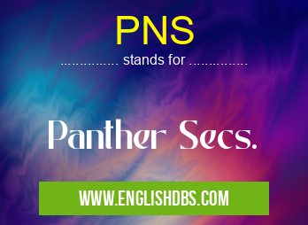 PNS means Panther Secs. PNS