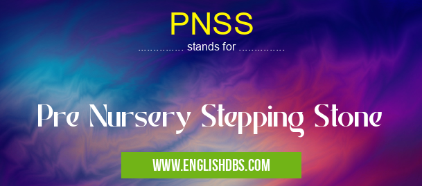 PNSS means Pre Nursery Stepping Stone PNSS