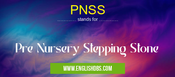 PNSS