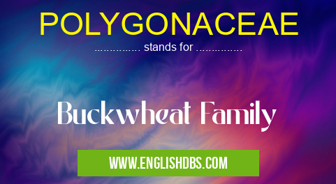 POLYGONACEAE means Buckwheat Family POLYGONACEAE