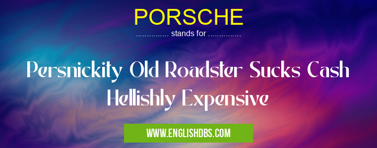 PORSCHE means Persnickity Old Roadster Sucks Cash Hellishly Expensive PORSCHE