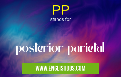 PP means posterior parietal PP