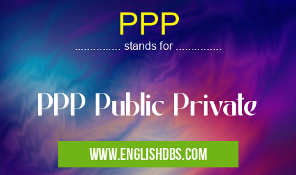 PPP means PPP Public Private PPP