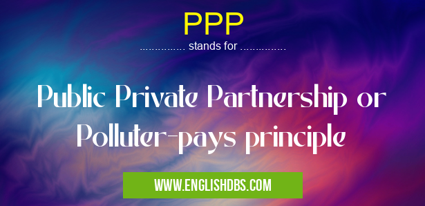 PPP means Public Private Partnership or Polluter-pays principle PPP