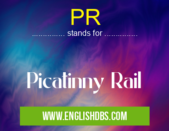 PR means Picatinny Rail PR