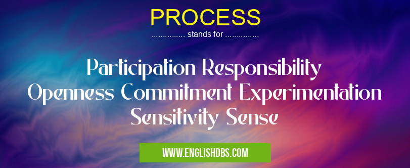 PROCESS means Participation Responsibility Openness Commitment Experimentation Sensitivity Sense PROCESS